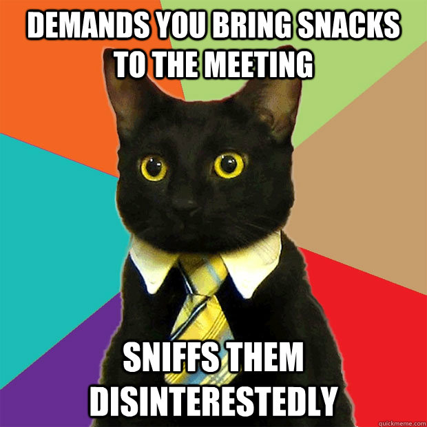 Demands you bring snacks to the meeting Sniffs them disinterestedly  Business Cat