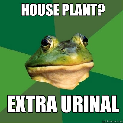 house plant? extra urinal - house plant? extra urinal  Foul Bachelor Frog