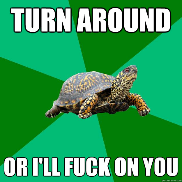 Turn around or I'll fuck on you - Turn around or I'll fuck on you  Torrenting Turtle