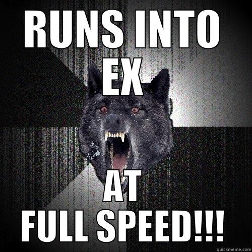 RUNS INTO EX AT FULL SPEED!!! Insanity Wolf