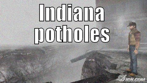 INDIANA POTHOLES  Misc