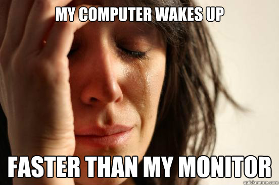 My computer wakes up faster than my monitor - My computer wakes up faster than my monitor  First World Problems