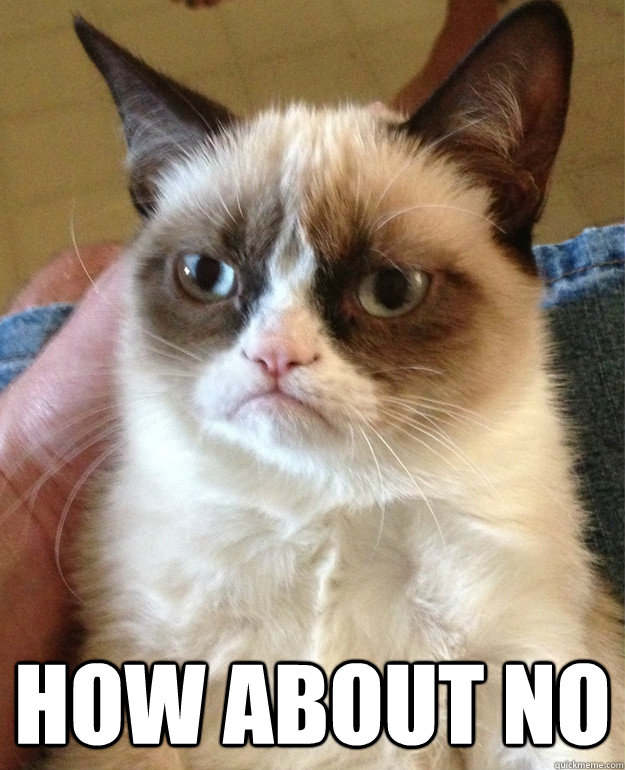  how about no  Grumpy Cat