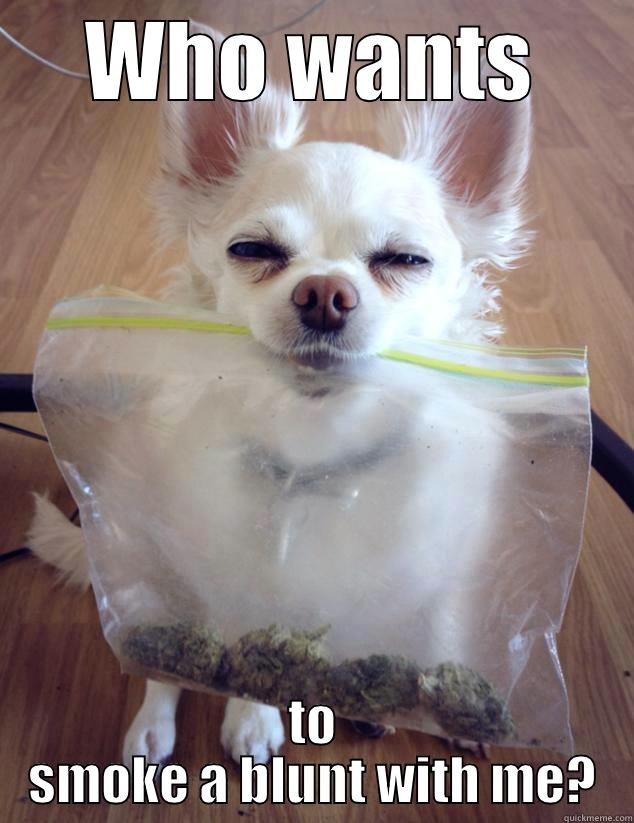 Funny dog - WHO WANTS TO SMOKE A BLUNT WITH ME? Misc