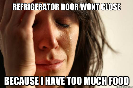 refrigerator door wont close because i have too much food  First World Problems