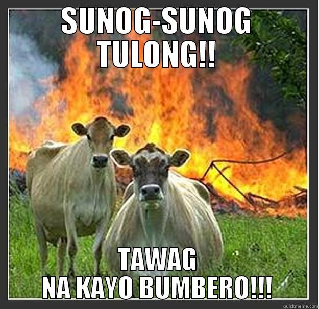 SUNOG-SUNOG TULONG!! TAWAG NA KAYO BUMBERO!!! Evil cows