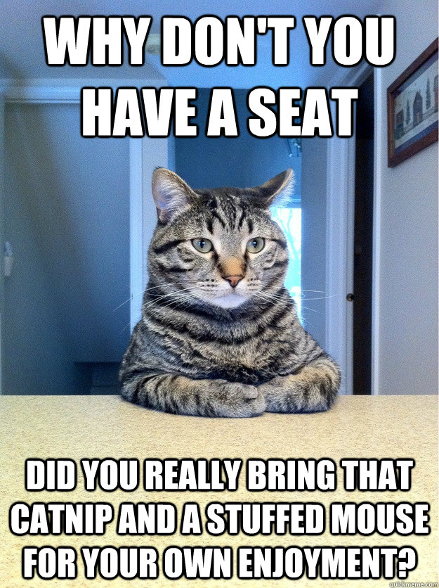 Why don't you have a seat Did you really bring that catnip and a stuffed mouse for your own enjoyment?  Chris Hansen Cat