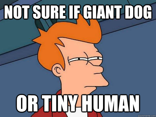 not sure if giant dog or tiny human - not sure if giant dog or tiny human  Futurama Fry