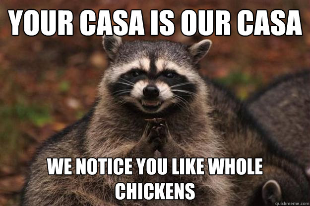 your casa is our casa we notice you like whole chickens  Evil Plotting Raccoon