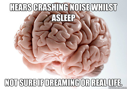 Hears crashing noise whilst asleep Not sure if dreaming or real life.   Scumbag Brain