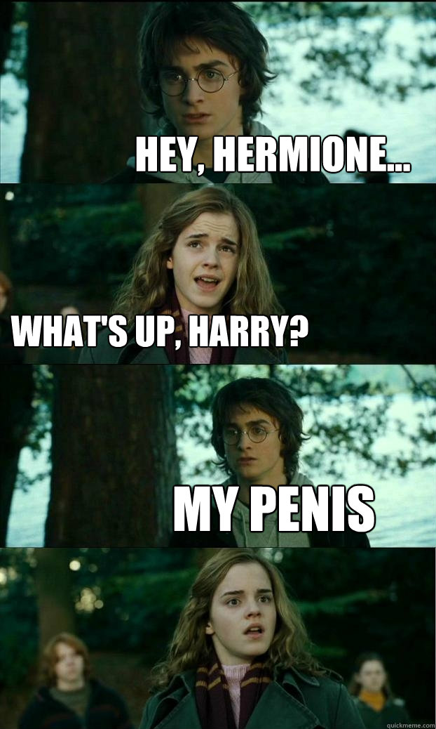 Hey, hermione... What's up, harry? my penis  Horny Harry