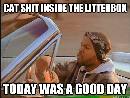 Cat shit inside the litterbox Today was a good day  today was a good day