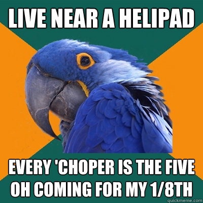 Live near a Helipad Every 'choper is the five oh coming for my 1/8th - Live near a Helipad Every 'choper is the five oh coming for my 1/8th  Paranoid Parrot