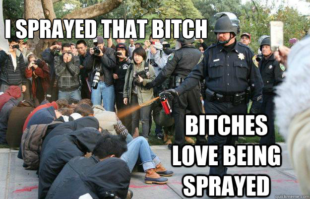 I sprayed that bitch bitches love being sprayed   Pimp Pepper Spray Cop