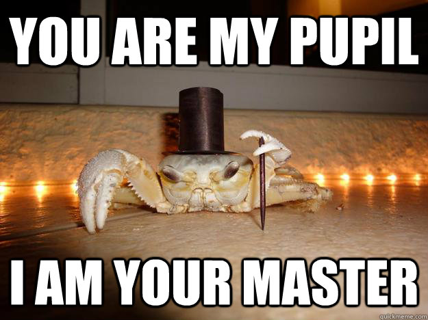 You are my pupil I am your master  Fancy Crab