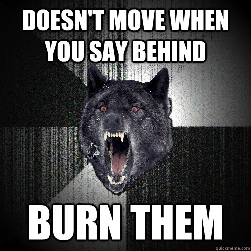 Doesn't move when you say behind BURN THEM  Insanity Wolf