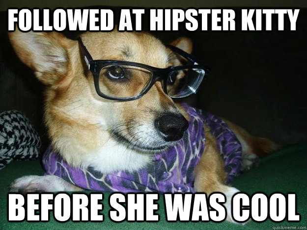 Followed at Hipster Kitty Before she was cool  Hipster Dog