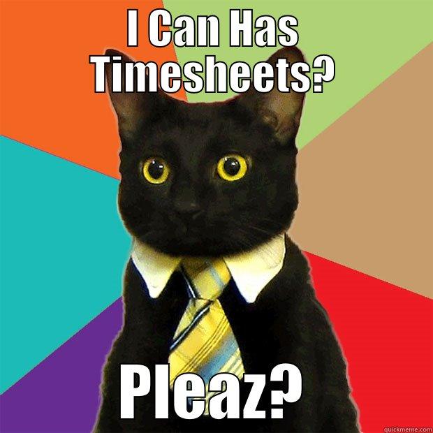 I CAN HAS TIMESHEETS? PLEAZ? Business Cat