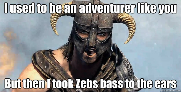 I used to be an adventurer like you
 But then I took Zebs bass to the ears  Took an Arrow to the Knee