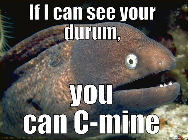 IF I CAN SEE YOUR DURUM, YOU CAN C-MINE Bad Joke Eel