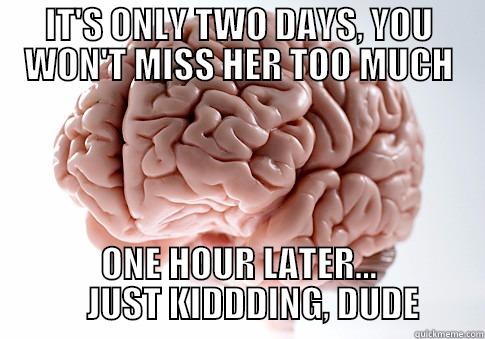 IT'S ONLY TWO DAYS, YOU WON'T MISS HER TOO MUCH ONE HOUR LATER...     JUST KIDDDING, DUDE Scumbag Brain