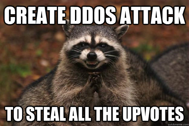 Create DDoS Attack to steal all the upvotes  Evil Plotting Raccoon