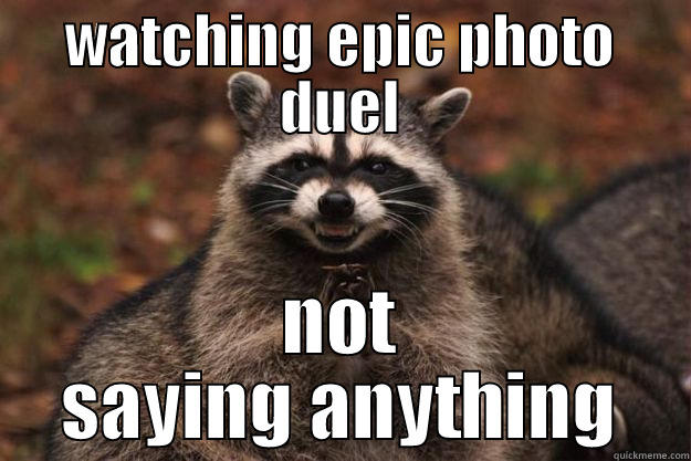 WATCHING EPIC PHOTO DUEL NOT SAYING ANYTHING Evil Plotting Raccoon