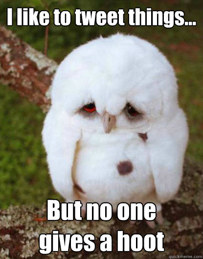 I like to tweet things... 
                                                                                                                                  But no one 
gives a hoot  Depressed Baby Owl