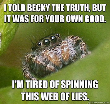 I told Becky the truth, but it was for your own good. I'm tired of spinning this web of lies. - I told Becky the truth, but it was for your own good. I'm tired of spinning this web of lies.  Misunderstood Spider