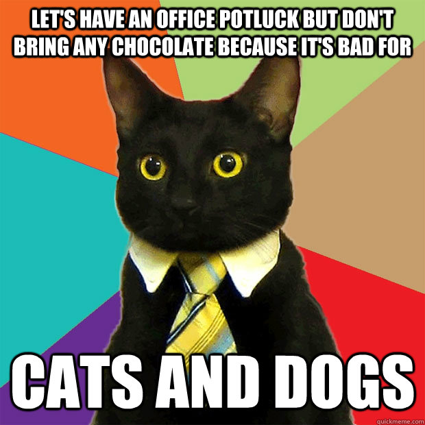 Let's have an office potluck but don't bring any chocolate because it's bad for cats and dogs - Let's have an office potluck but don't bring any chocolate because it's bad for cats and dogs  Business Cat