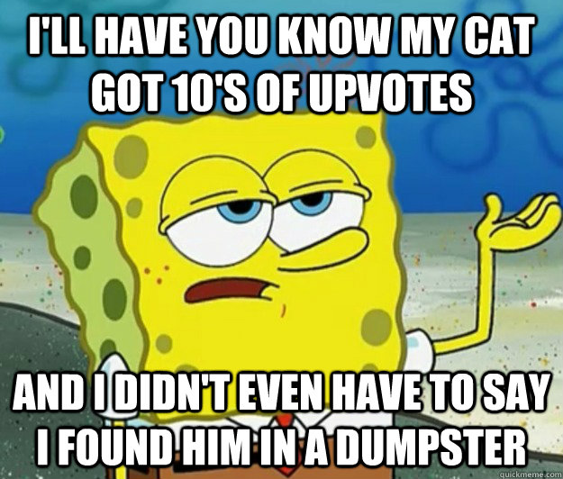 I'll have you know my cat got 10's of upvotes and I didn't even have to say I found him in a dumpster  Tough Spongebob