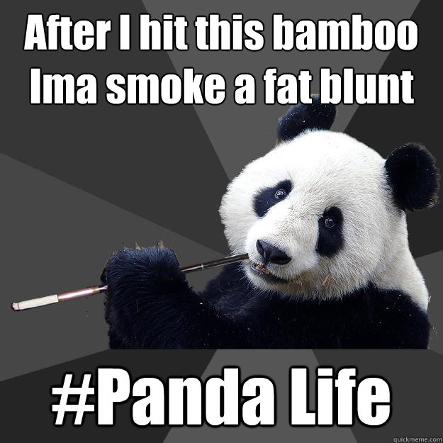 After I hit this bamboo Ima smoke a fat blunt #Panda Life - After I hit this bamboo Ima smoke a fat blunt #Panda Life  Propapanda