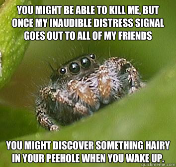 You might be able to kill me, but once my inaudible distress signal goes out to all of my friends You might discover something hairy in your peehole when you wake up.  Misunderstood Spider