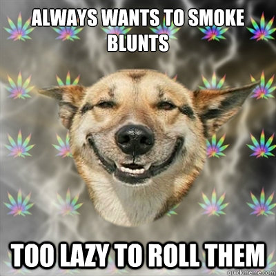 Always wants to smoke blunts Too lazy to roll them - Always wants to smoke blunts Too lazy to roll them  Stoner Dog