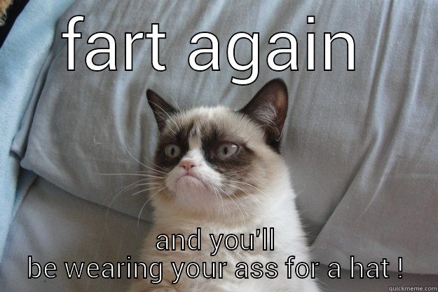 FART AGAIN AND YOU'LL BE WEARING YOUR ASS FOR A HAT ! Grumpy Cat