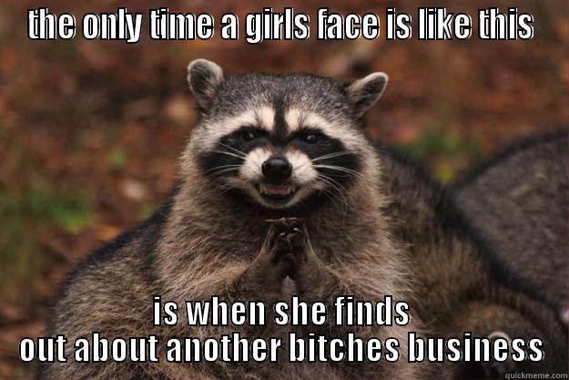 THE ONLY TIME A GIRLS FACE IS LIKE THIS IS WHEN SHE FINDS OUT ABOUT ANOTHER BITCHES BUSINESS Evil Plotting Raccoon