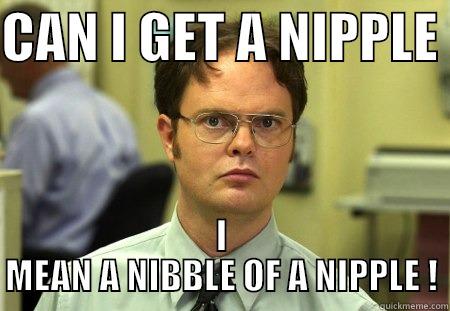 CAN I GET A NIPPLE  I MEAN A NIBBLE OF A NIPPLE ! Schrute