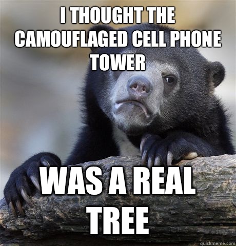 i thought the camouflaged cell phone tower was a real tree  Confession Bear