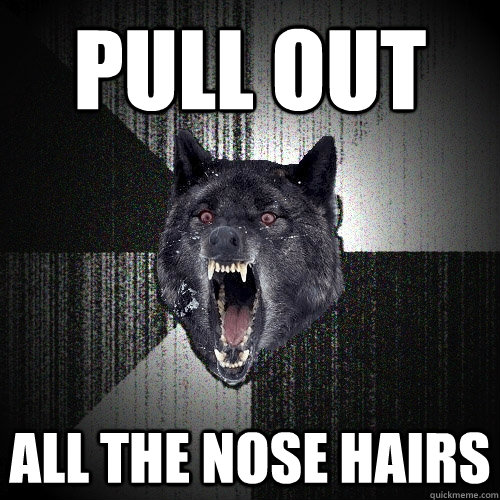 PULL OUT ALL THE NOSE HAIRS  Insanity Wolf