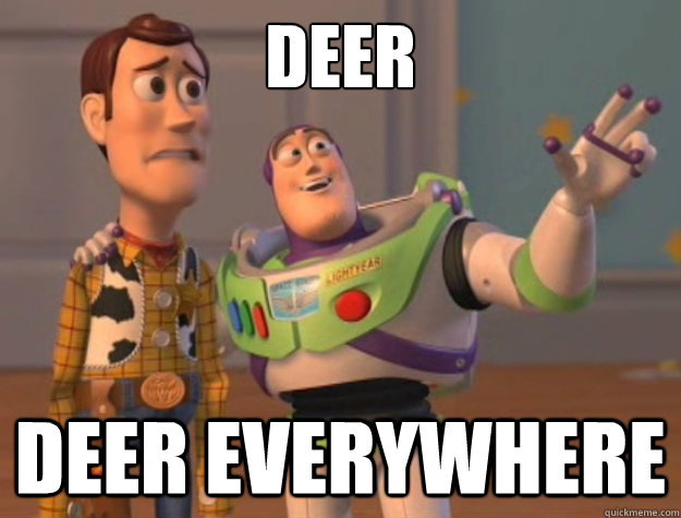 Deer Deer everywhere  Buzz Lightyear