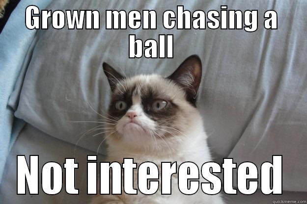 GROWN MEN CHASING A BALL NOT INTERESTED Grumpy Cat