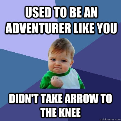 used to be an adventurer like you didn't take arrow to the knee  Success Kid