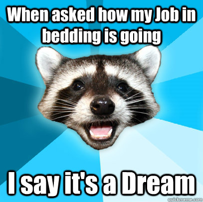 When asked how my Job in bedding is going I say it's a Dream  Lame Pun Coon