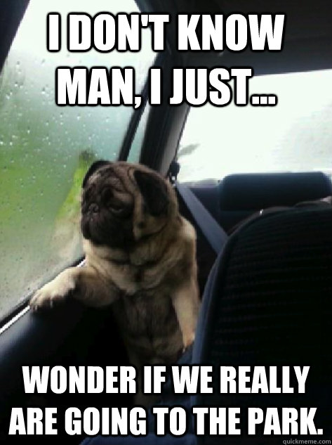 I don't know man, I just... wonder if we really are going to the park.  Introspective Pug