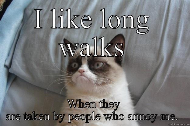 I LIKE LONG WALKS WHEN THEY ARE TAKEN BY PEOPLE WHO ANNOY ME.  Grumpy Cat