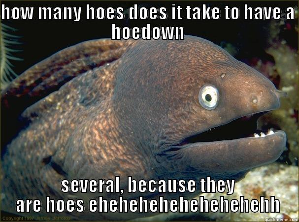 give it a catchy tittle ;)0) - HOW MANY HOES DOES IT TAKE TO HAVE A HOEDOWN SEVERAL, BECAUSE THEY ARE HOES EHEHEHEHEHEHEHEHEHH Bad Joke Eel