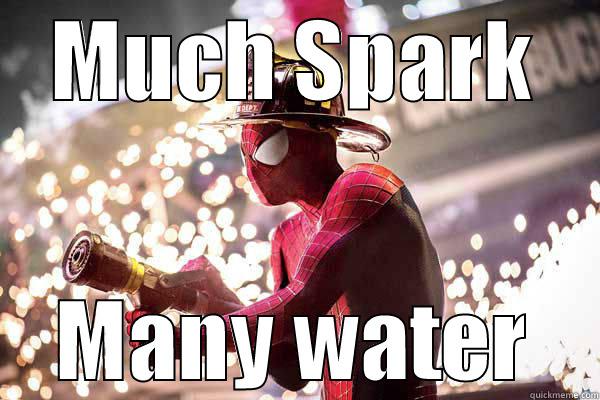 MUCH SPARK MANY WATER Misc