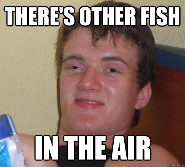 There's other fish in the air  10 Guy