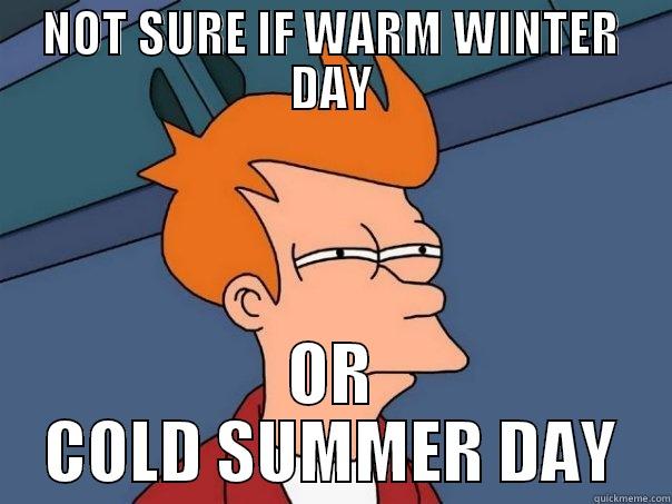 NOT SURE IF WARM WINTER DAY OR COLD SUMMER DAY Futurama Fry