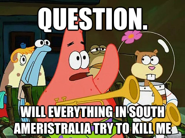 Question. will everything in south ameristralia try to kill me  Question Asking Patrick